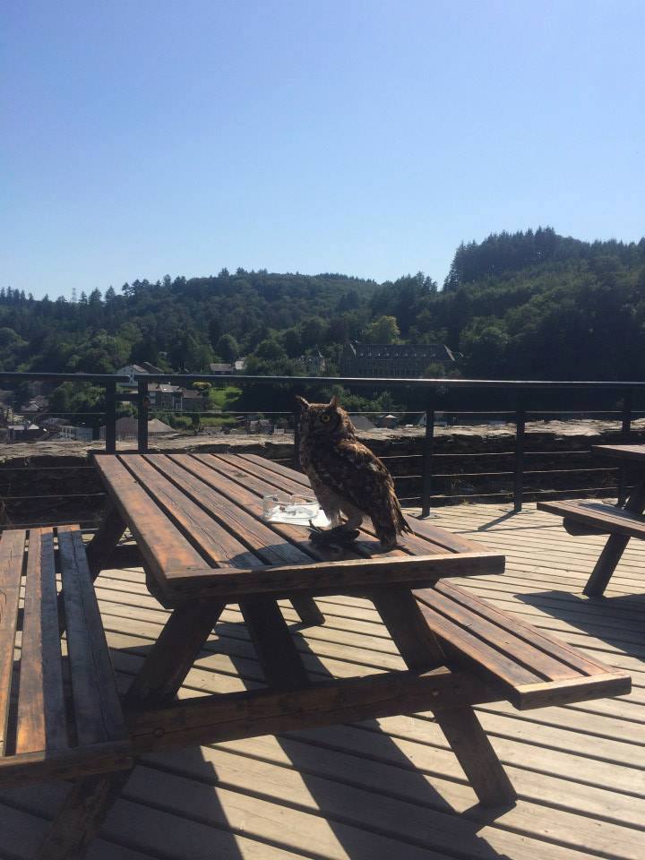 Sint-Martinus den XIIde - Kamp Ligniäre KHV '14